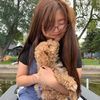 irenechen981